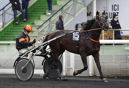 Actualités Hippiques